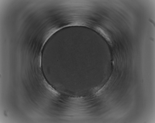 X0000097651276200803071501