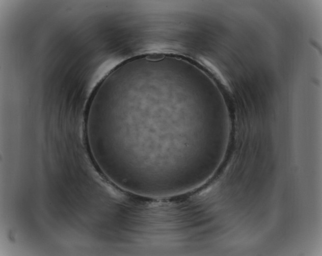 X0000097651277200803071501