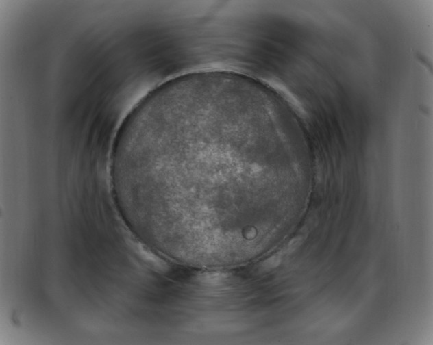 X0000097651278200803071501