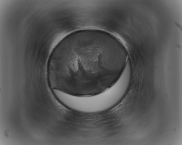 X0000097651279200803071501