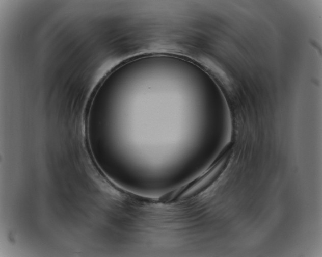 X0000097651280200803071501