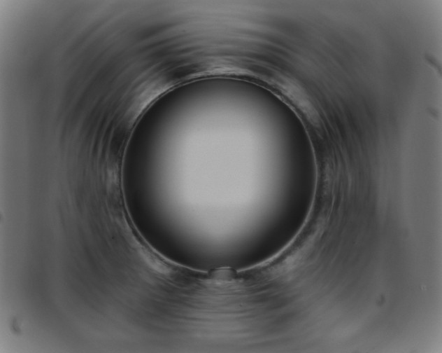 X0000097651281200803071501