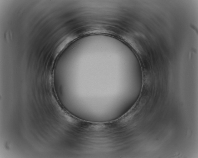 X0000097651282200803071501