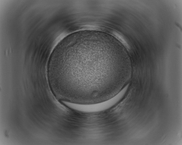 X0000097651283200803071501