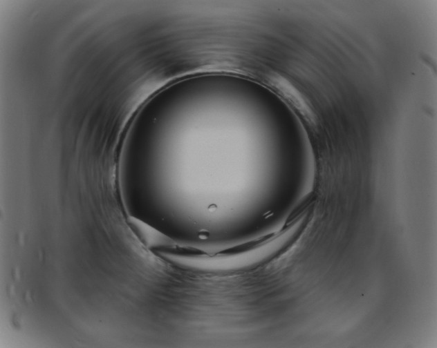 X0000097651284200803071501