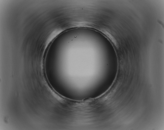 X0000097651285200803071501