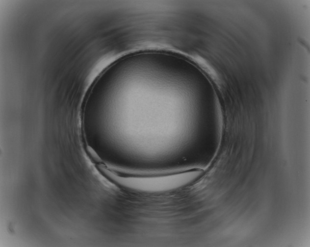 X0000097651287200803071501