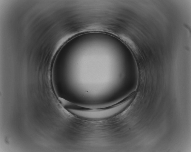 X0000097651288200803071501