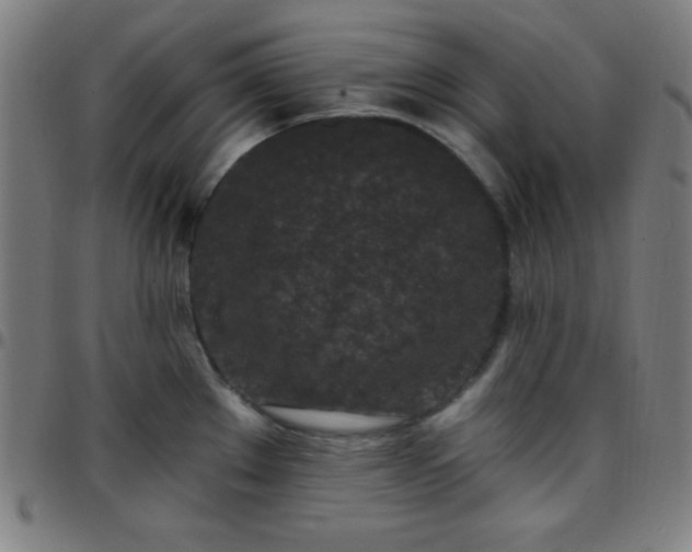 X0000097651289200803071501