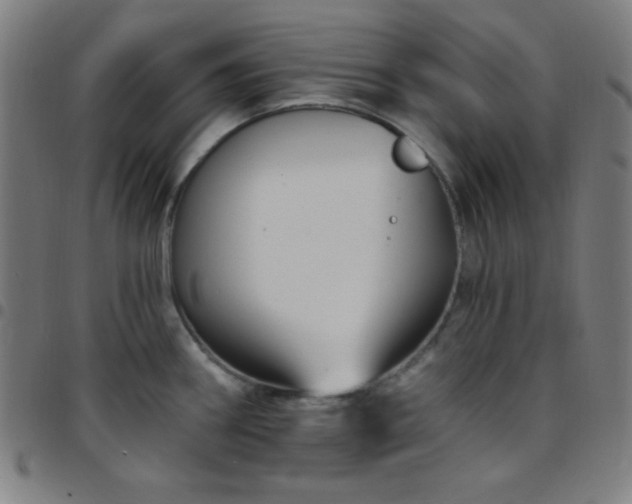 X0000097651290200803071501