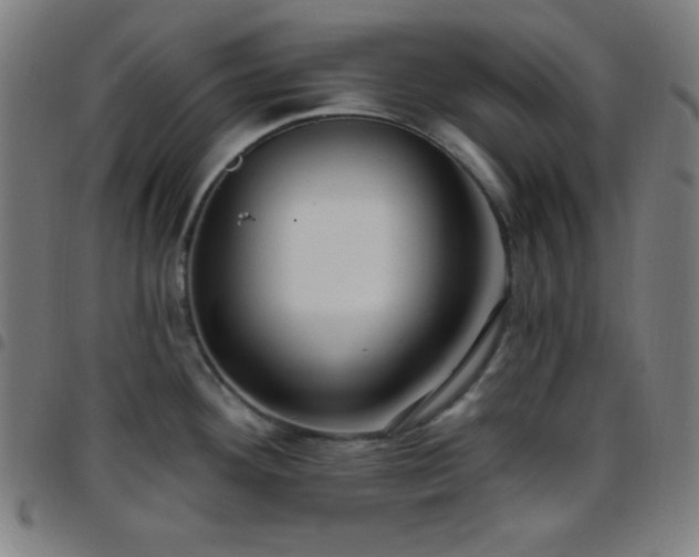 X0000097651292200803071501