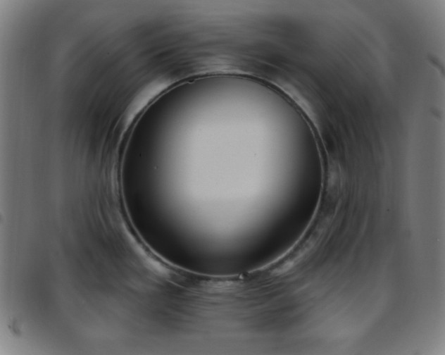 X0000097651293200803071501