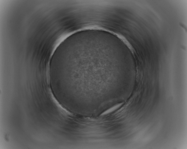 X0000097651295200803071501