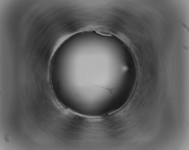 X0000097651296200803071501