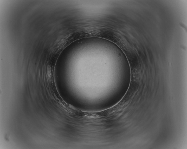 X0000097651298200803071500