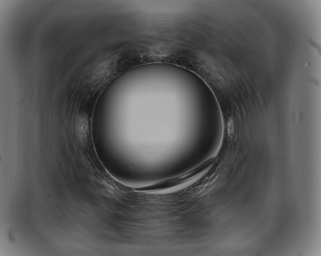 X0000097651299200803071500