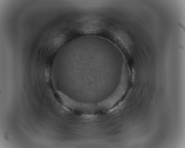 X0000097651300200803071500