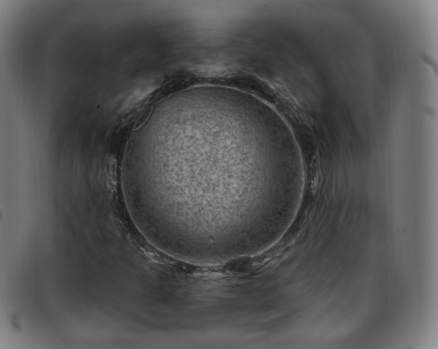 X0000097651301200803071500