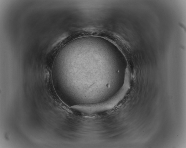 X0000097651302200803071500