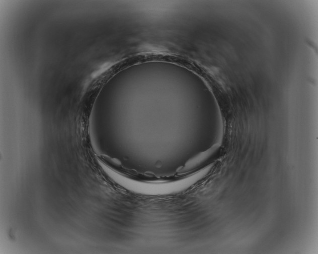 X0000097651303200803071500