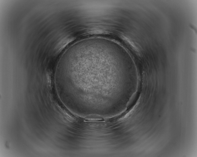 X0000097651305200803071500