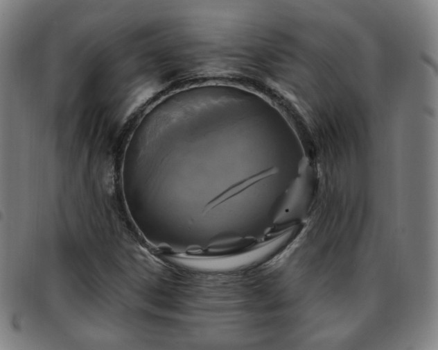 X0000097651306200803071500