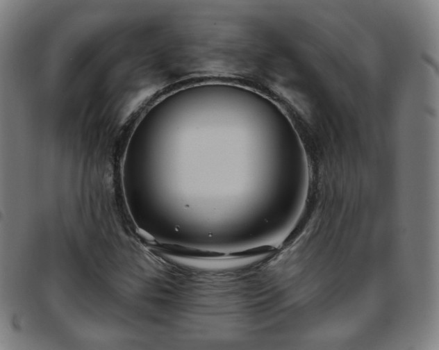 X0000097651307200803071500