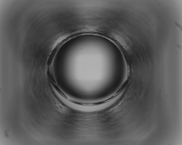 X0000097651308200803071500