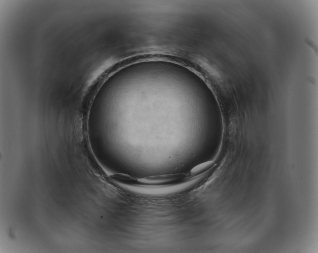 X0000097651310200803071500