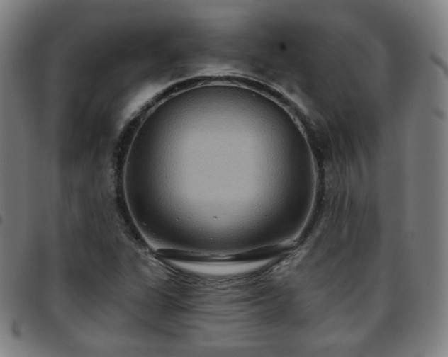 X0000097651311200803071500