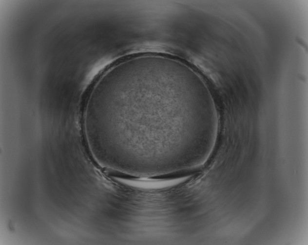 X0000097651312200803071500