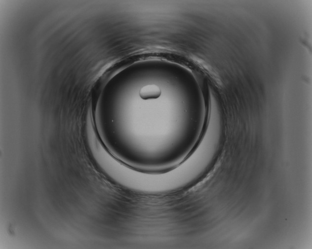 X0000097651313200803071500