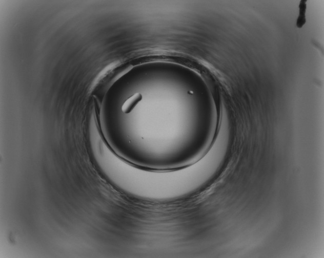 X0000097651314200803071500