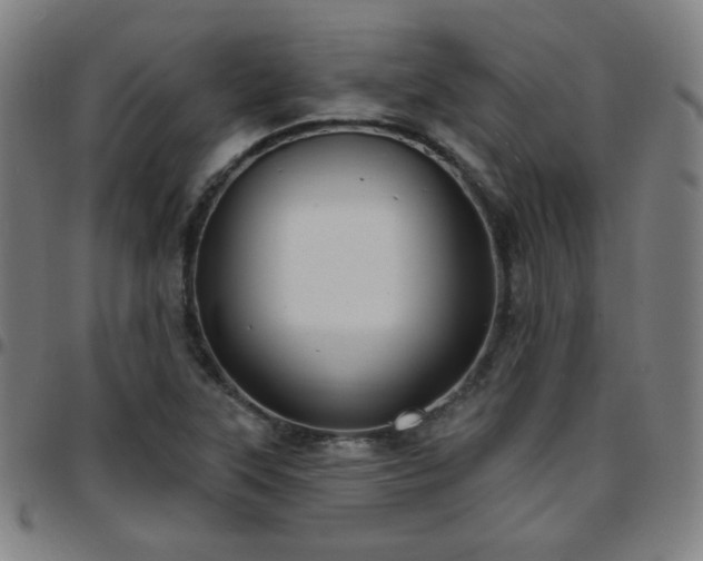 X0000097651315200803071500