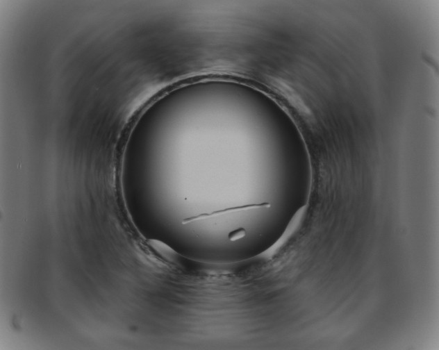 X0000097651316200803071500