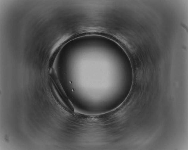 X0000097651317200803071500