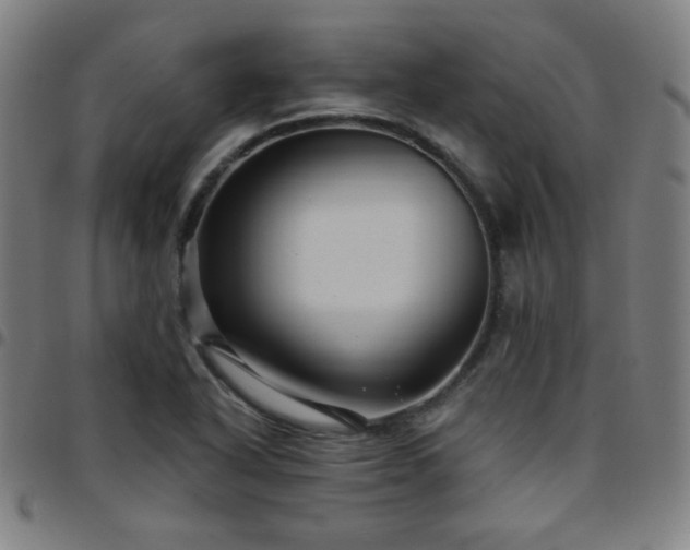 X0000097651318200803071500