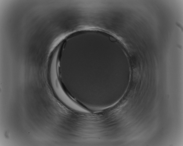 X0000097651319200803071500