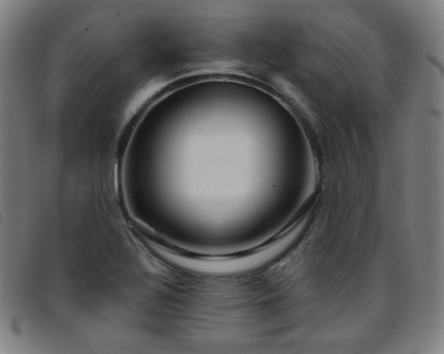 X0000097651320200803071500