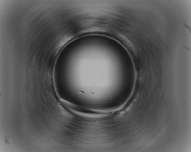 X0000097651321200803071500