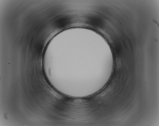 X0000097651322200803071500