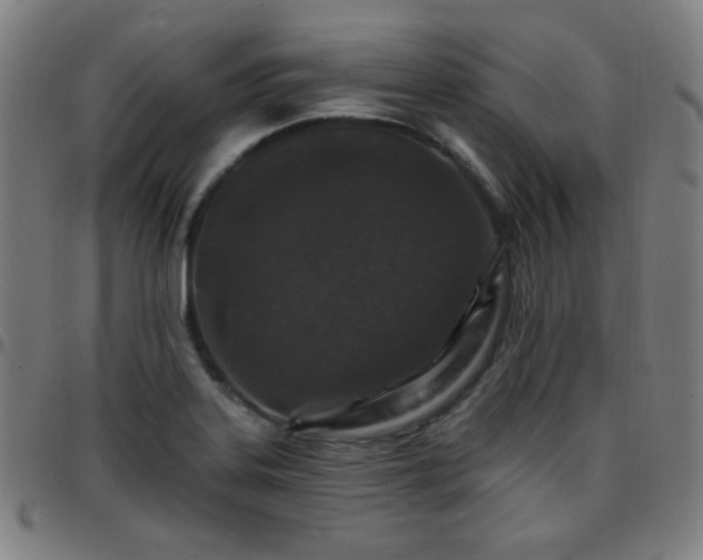 X0000097651323200803071500