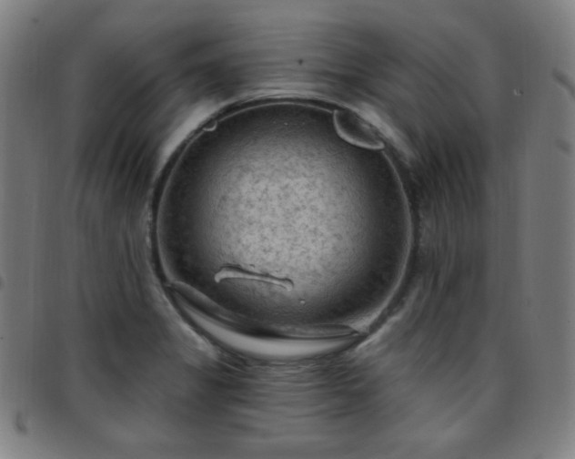 X0000097651325200803071500