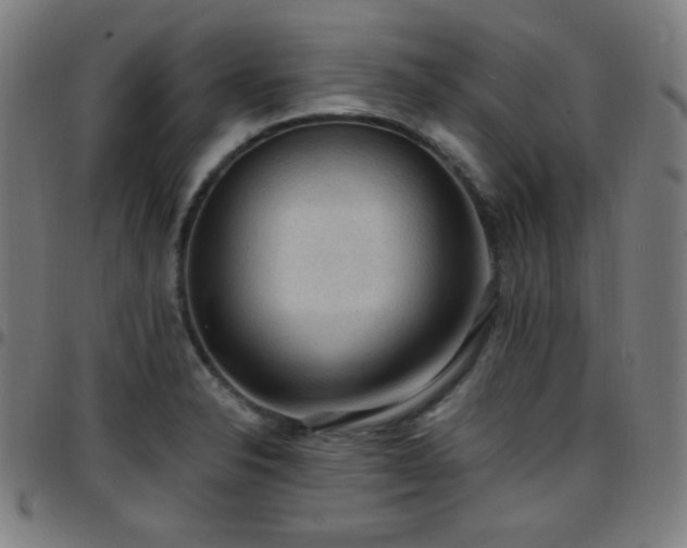 X0000097651326200803071500