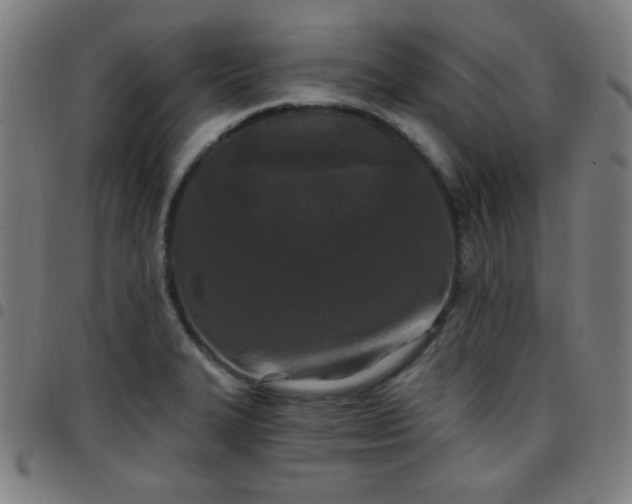 X0000097651327200803071500