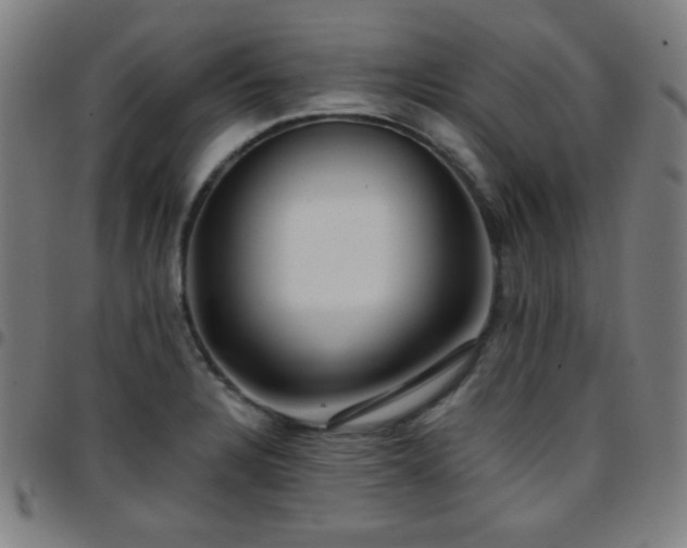 X0000097651328200803071500