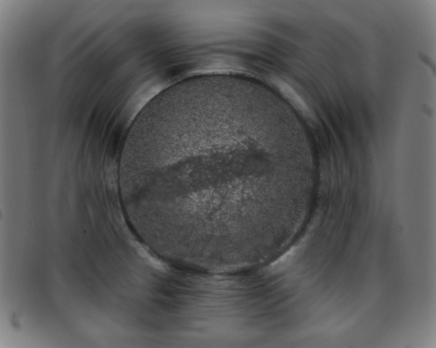 X0000097651329200803071500