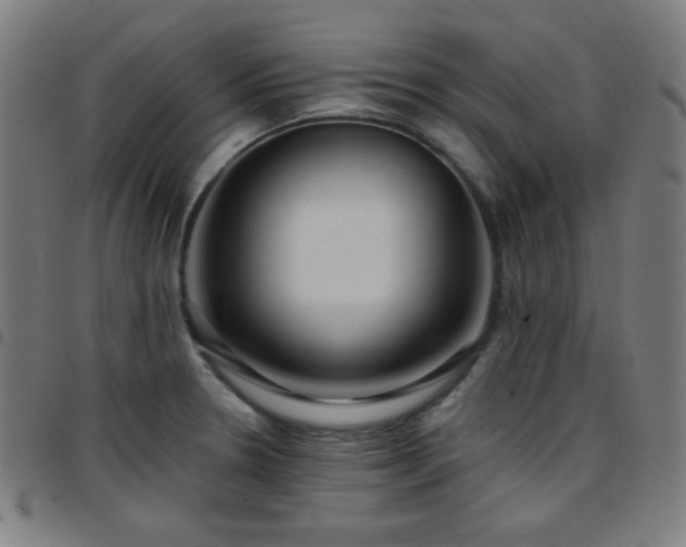 X0000097651330200803071500