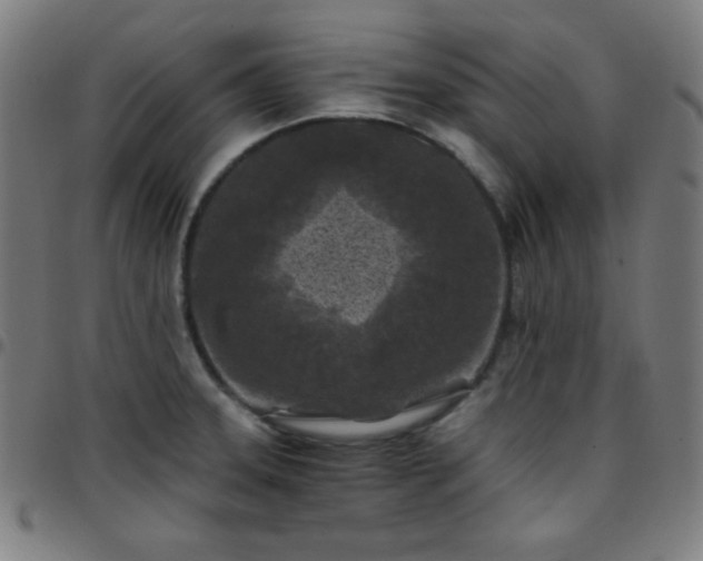 X0000097651331200803071500