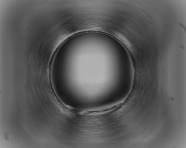 X0000097651332200803071500